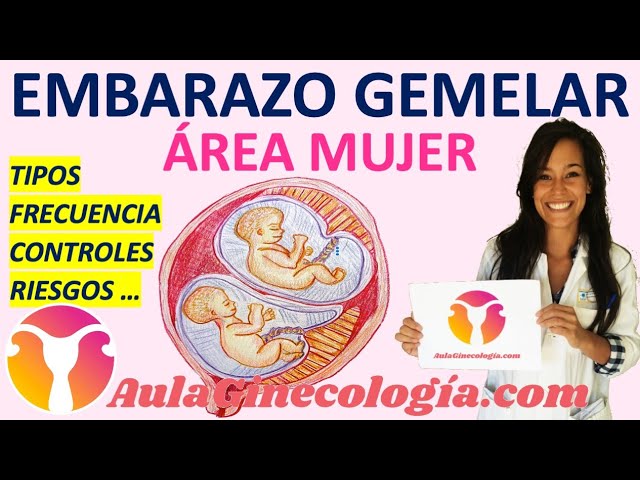 EMBARAZO GEMELAR : TIPOS, FRECUENCIA, CONTROLES, RIESGOS... - Ginecología y Obstetricia -