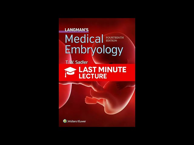 Eye | Chapter 20 – Langman’s Medical Embryology (14th)