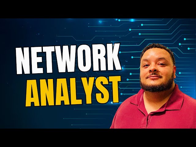 What is a Network Analyst?
