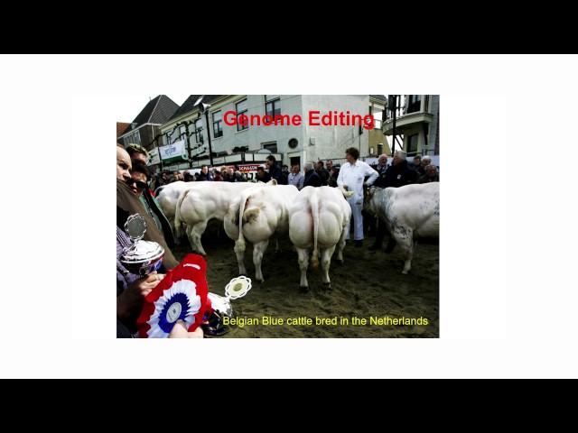 Data Science opportunities for sustainable agricultural systems