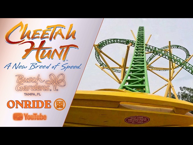 3D VR180 ULTRA WIDE VIEW ONRIDE POV @Cheetah Hunt BuschGardensTampaBay FL