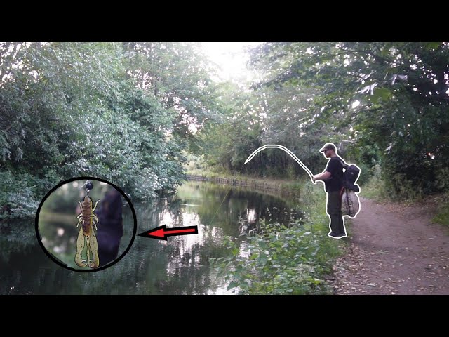 This Could Be The Biggest Of The Year! Canal BFS!