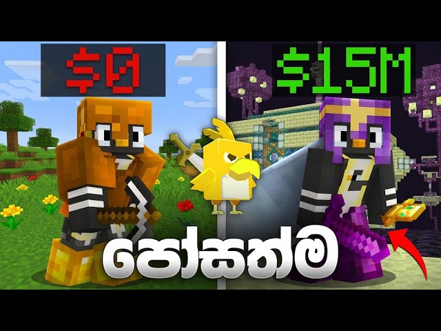 මම මේ Server එකේ පෝසත්ම Player උනා 💸 | I Became The Richest Player On HungryBirds SMP 