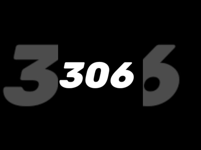 #306