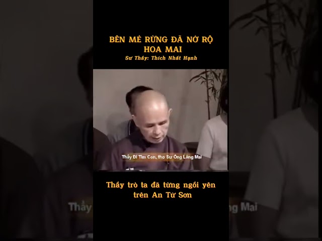 The apricot blossoms have bloomed profusely by the edge of the forest.