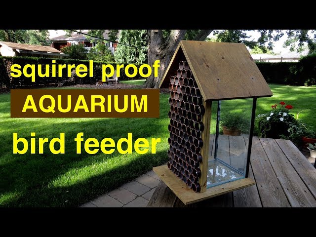 How to make ● a  SQUIRREL PROOF  Bird Feeder ( from an aquarium ! ! )