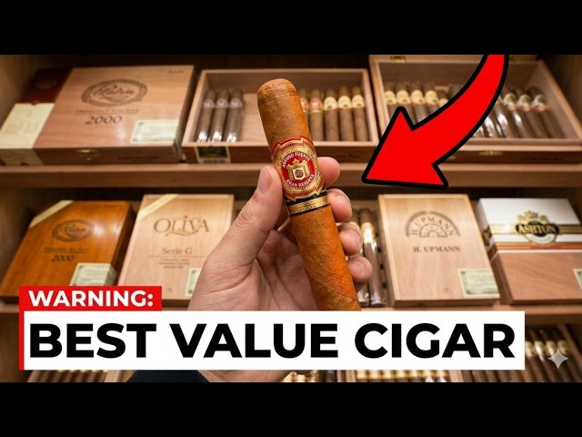 Top 10 Best Cigars Under $20 That Should Cost WAY More!