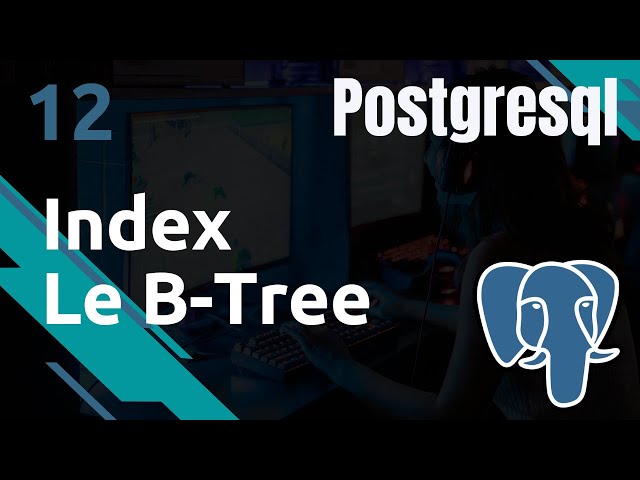 POSTGRESQL - 12. Index : B-Tree