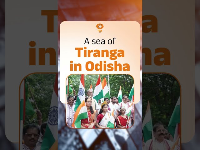 Odisha Turns Tricolour  A Sea of Tiranga