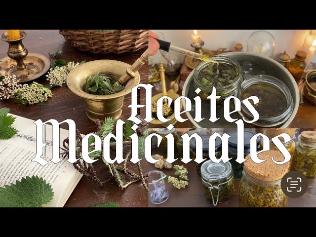 COMO HACER ACEITES MACERADOS Y MEDICINALES de plantas | Oleato | Ortiga, Caléndula, Árnica, Llantén
