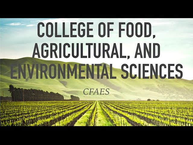 College Overview: Food, Agricultural and Environmental Sciences