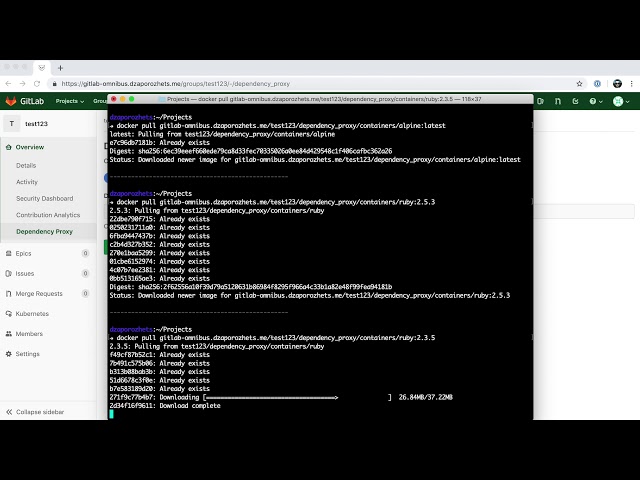 Dependency Proxy for containers. GitLab v11.11