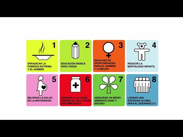 ¿Qué son los Objetivos de Desarrollo Sostenible (ODS)?