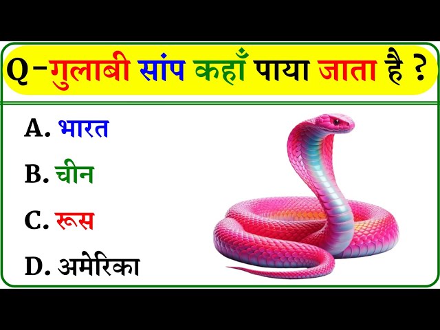 GK Question || GK In Hindi || GK Question and Answer || GK Quiz || BR GK STUDY ||