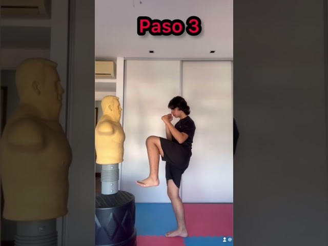 Una patada para principiantes, la patada frontal #taekwondo #kicks #tkd
