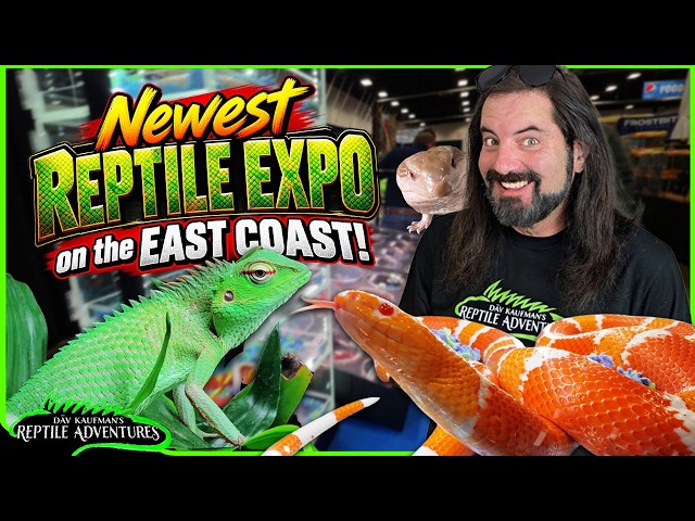 I Went to the NEWEST Reptile Expo on the East Coast!