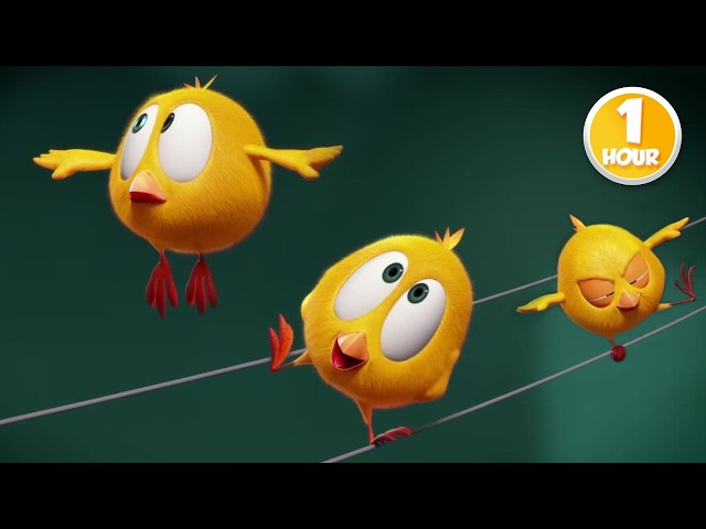 CHICKY | The clotheshorse | 1 Hour Compilation | KIDS & FAMILY CARTOON