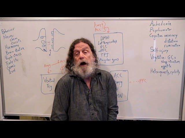 29. Depression by Robert Sapolsky
