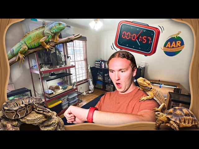 It Takes HOW Long to Clean my Reptile Room!