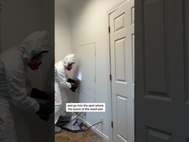 DIY Mold Remediation- Part 2! We hope you are learning as much as we are through this process. #mold