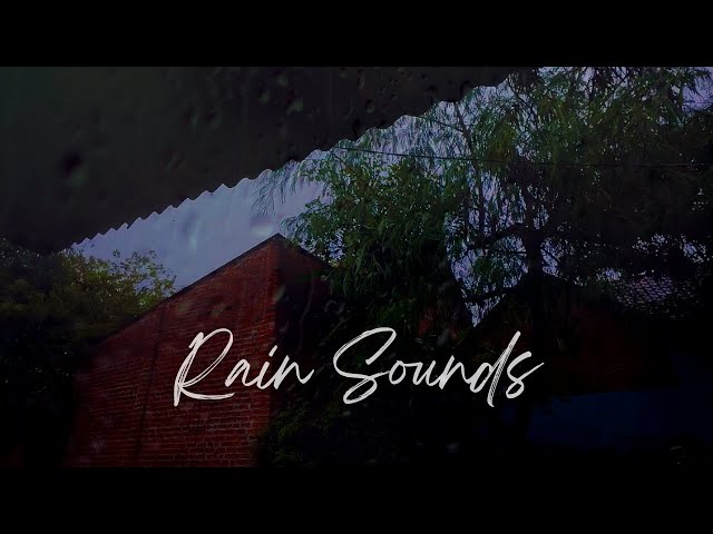 Rain on the Roof – Sleep Instantly | Rain Sounds for Deep Sleep, Stress Relief, and Meditation ASMR