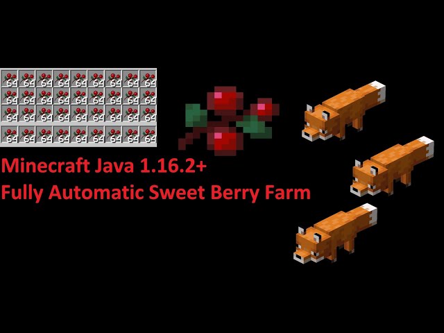 Minecraft Java 1.16.2+ Fully Automatic Sweet Berry Farm