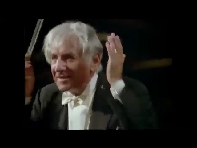 Beethoven symphony no 7 / leonard bernstein