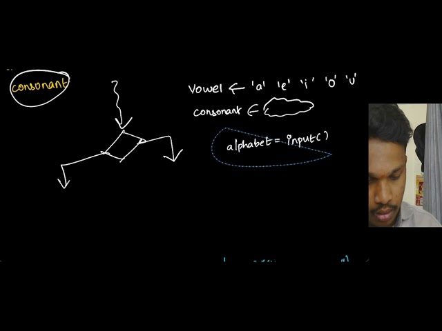 P8 Vowel or consonant | #python #series