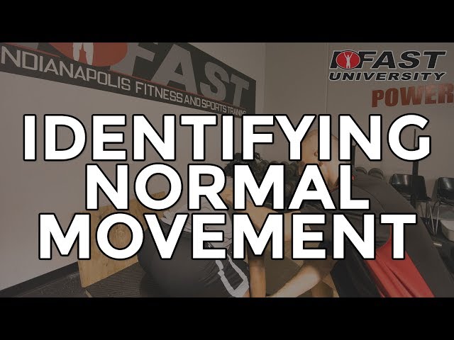 Identifying Normal Movement