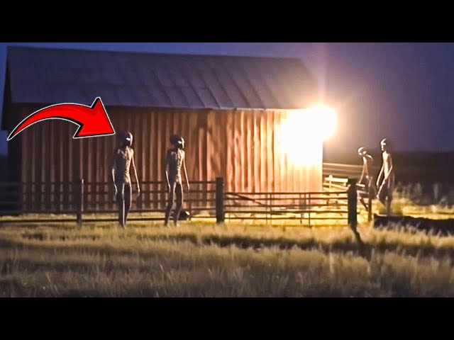 Aliens Have Landed Straight From UFO & Nobody is Talking About it!
