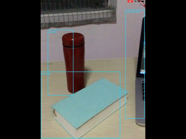 Real-time object detection in Flutter with camera and tflite plugin