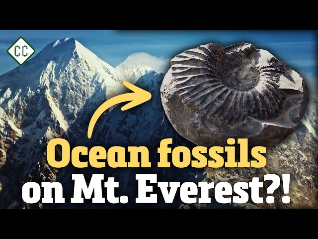 How Do Mountains Form?: Crash Course Geology #11