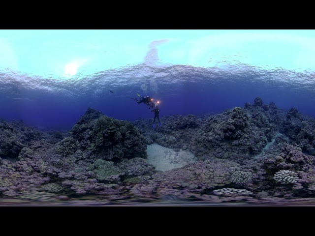 360bubble DEEP - Coral Reef Diving