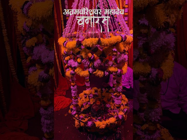 Banaras ke आत्मवीरेश्वर🔱 Mahadev #ytshorts #yt #trending #trendingshorts #viral #viralshorts  #reels