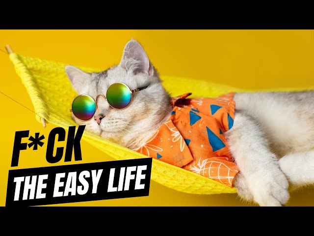 This is an aha moment