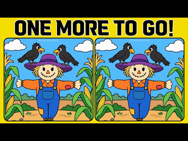 Every Detail Matters! Try These Spot the Difference Puzzles (A Bit Tricky)