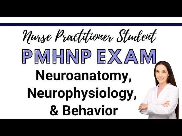 PMHNP Exam Review Course | Neuroanatomy, Neurophysiology, and Behavior