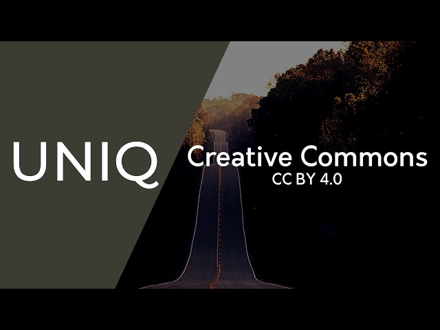 Art of Silence (v2/Version 2) Extended Loop | Uniq (Copyright Free, CC BY)