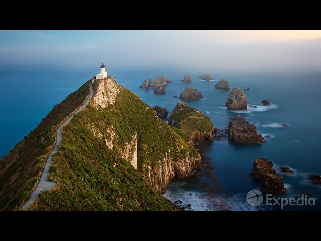 Dunedin City Video Guide | Expedia