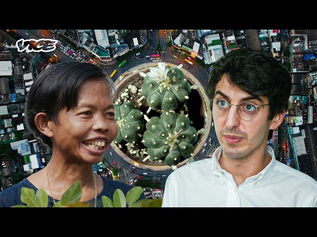 Tracking the Endangered Biology of the Peyote Cactus | VICE | Blueprint
