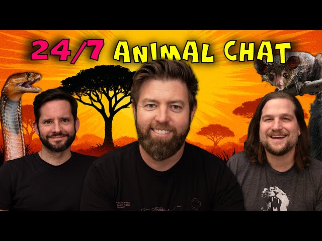 24/7 Animal Learning and Fun w/ Forrest Galante & The Wild Times Crew