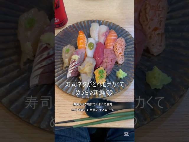 (JP/KR)韓国でも美味い寿司が食べれるってホンマ？ 홍대에서 맛있는 초밥을 먹을 수 있대!! #워홀 #외노자 #홍대 #스시 #맛집　#외노자 #워홀