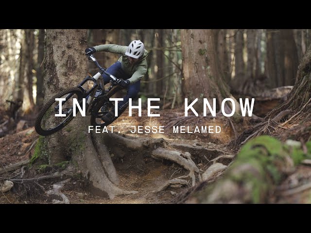 In the Know - Jesse Melamed