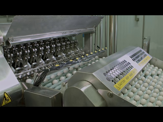 MOBA PELBO SYNCHRO 400 HIGH EFFICIENCY EGG BREAKING SEPARATING  SYSTEM 180.000 eph