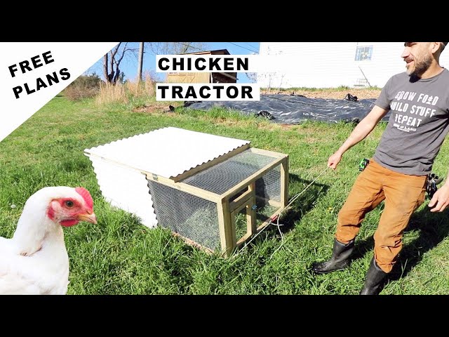 DIY CHICKEN TRACTOR (Small Scale) EASY