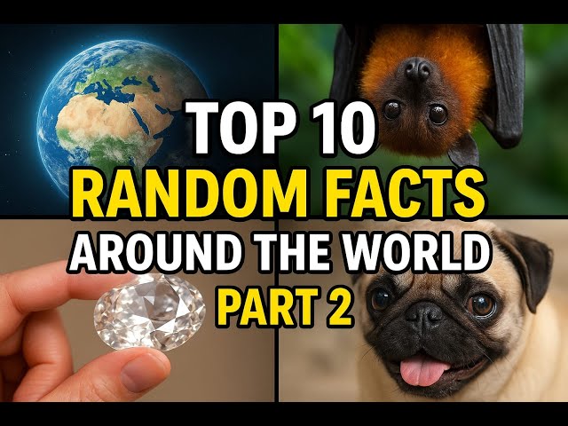 Top 10 Random Facts Around The World Part 2