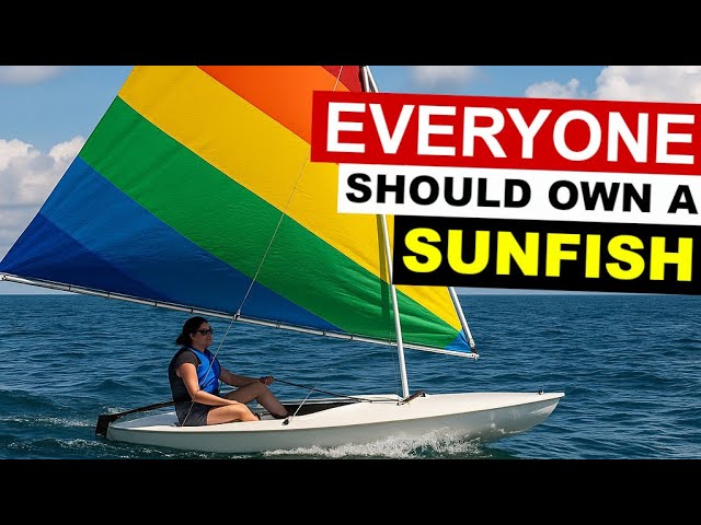 Everyone Should Own a Sunfish (Here’s Why) - Ep 360 - Lady K Sailing