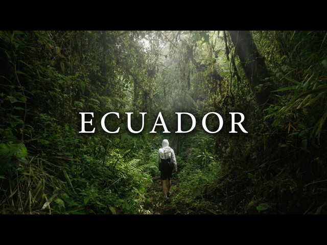 Into Wild Ecuador: Jungle Hiking & High Altitude Mountaineering