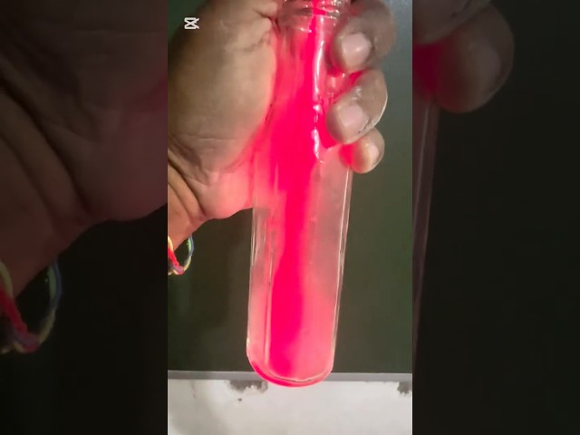 ආලෝකය සරල රේකීයව ගමන් ගන්නා බව පෙන්වීම l6 වසර විද්‍යාවl 05 පාඩම l Unit 05lGrade 06 Science lessons.