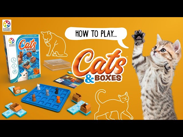 How To Play Cats & Boxes - SmartGames